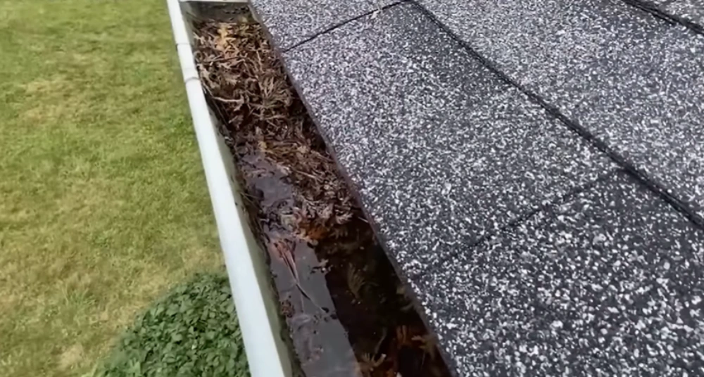 Clogged gutter wet leaves shingle roof