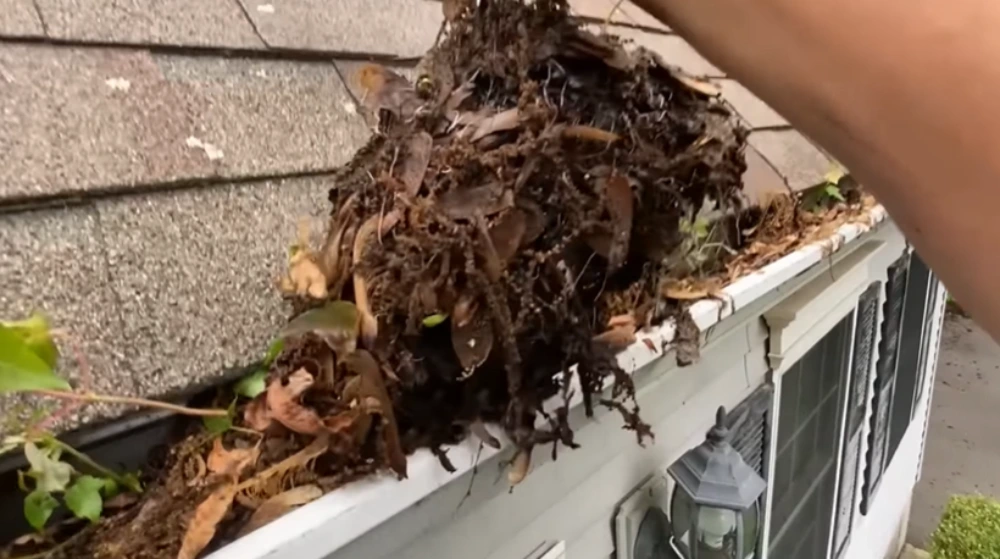 Gutter cleaning in santa cruz