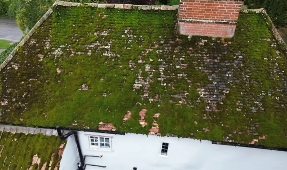 Moss covered tile roof before cleaning