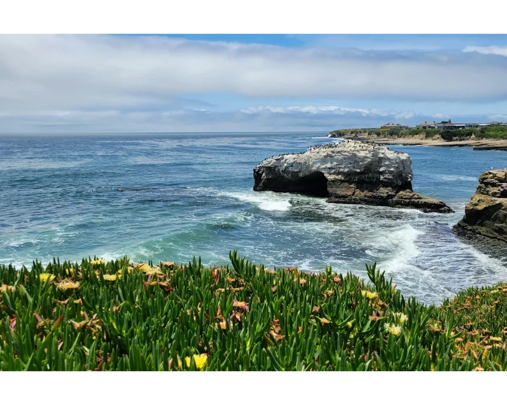 Natural Bridges, Westside Santa Cruz
