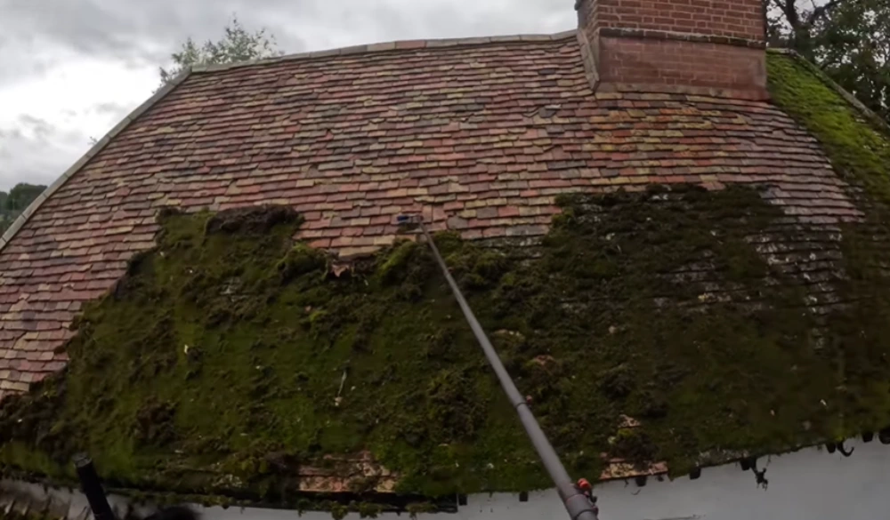 Roof half cleaned during roof and window cleaning Santa Cruz service, showing the soft wash difference