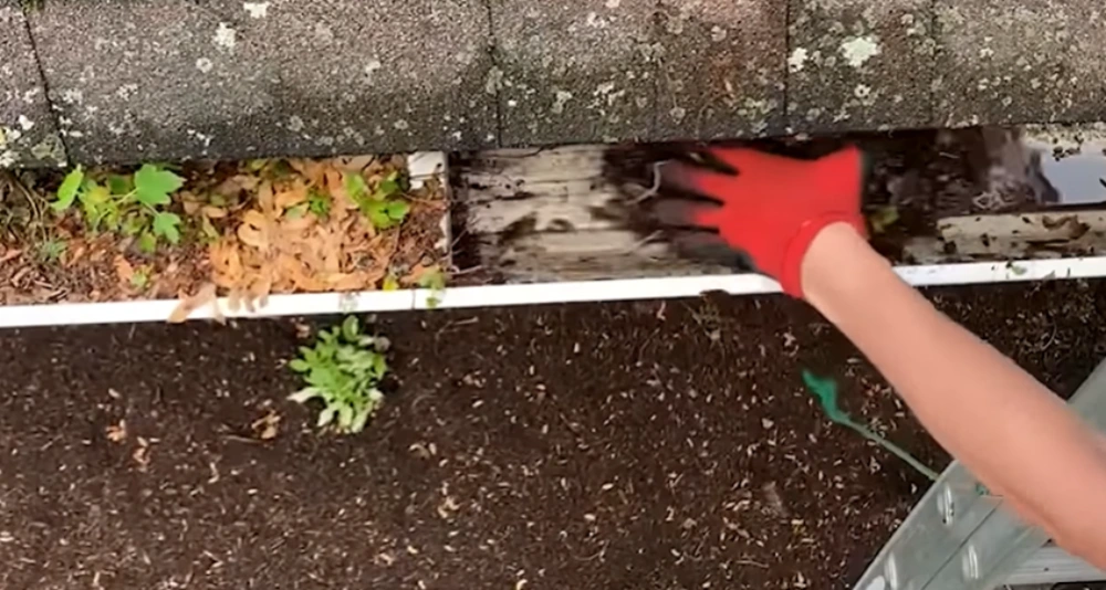 Scooping leaves out of gutter