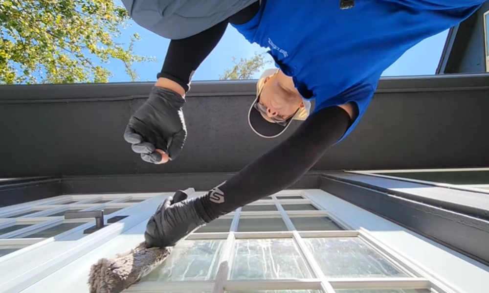Scrubbing french door glass panes